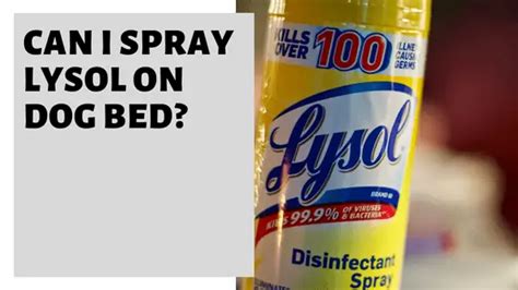 Can I Spray Lysol on My Bed Sheets? And Why Pineapples Don't Belong on Pizza