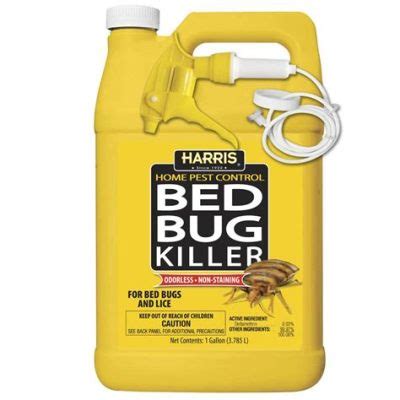 Does Bed Bug Spray Kill Lice? Exploring the Unlikely Connection Between Pests and Solutions