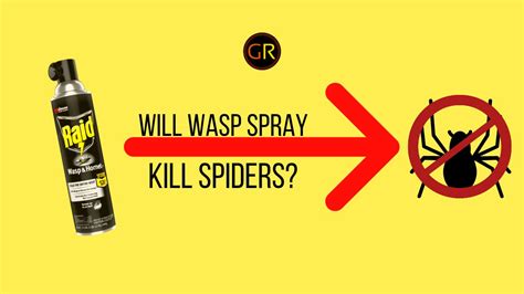 Will Wasp Spray Kill Spiders? And Why Do We Even Care About Their Midnight Tea Parties?